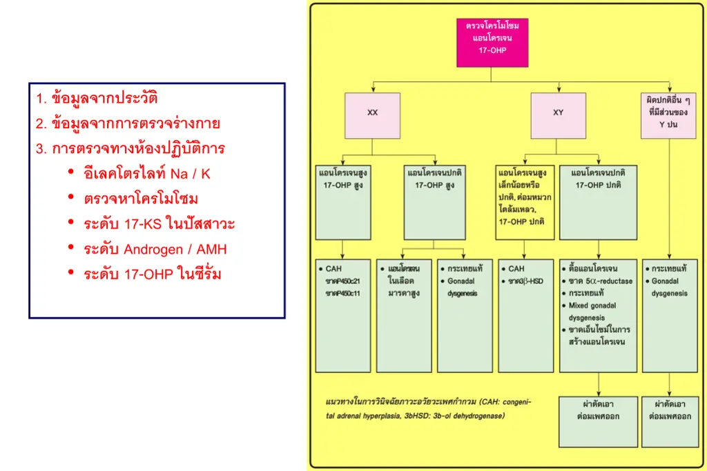 1 2 3 na k 17 ks androgen amh 17 ohp