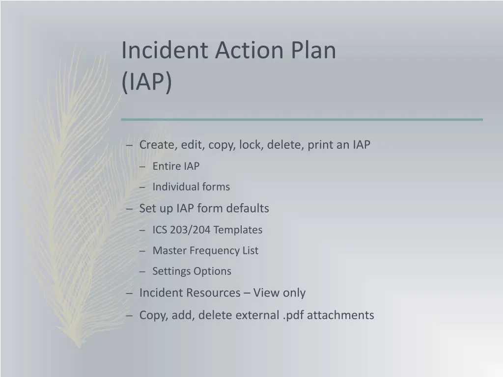 incident action plan iap