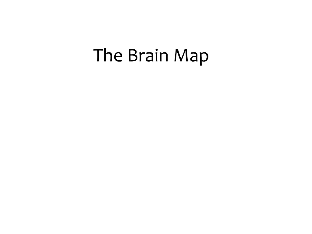the brain map