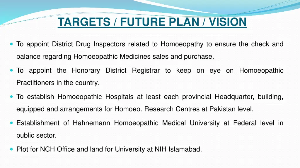 targets future plan vision 2