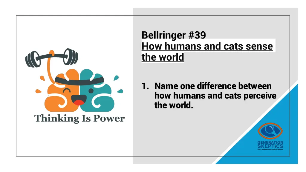 bellringer 39 how humans and cats sense the world