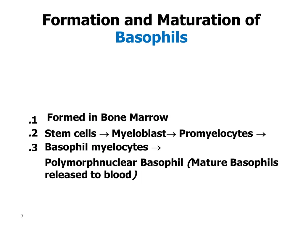 formation and maturation of basophils