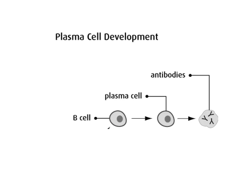 slide24