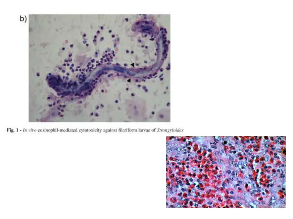 slide6
