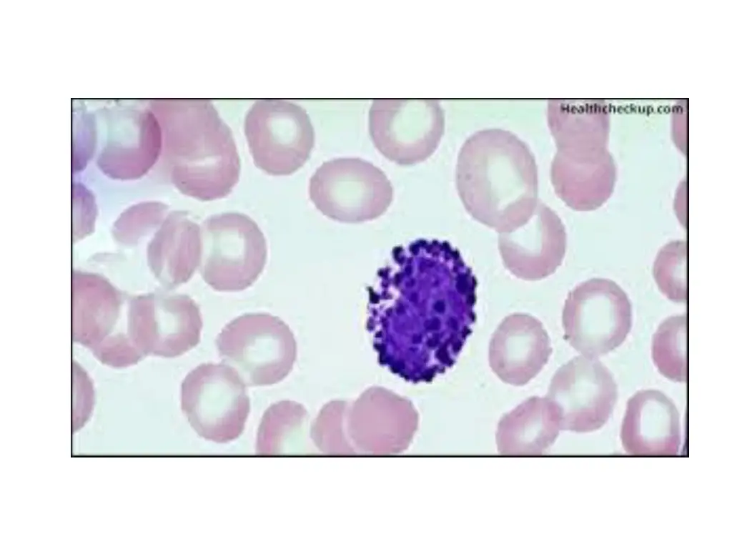 slide8