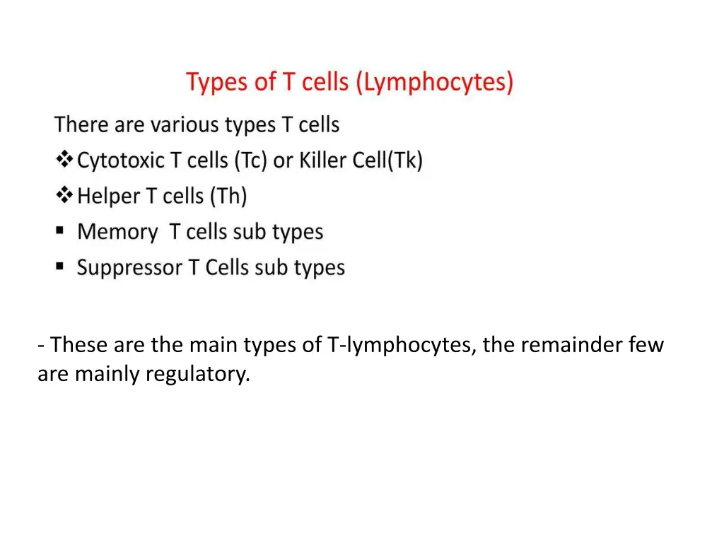 these are the main types of t lymphocytes