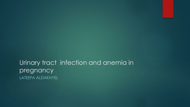 urinary tract infection and anemia in pregnancy