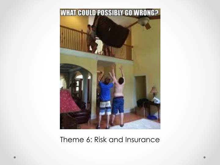 theme 6 risk and insurance