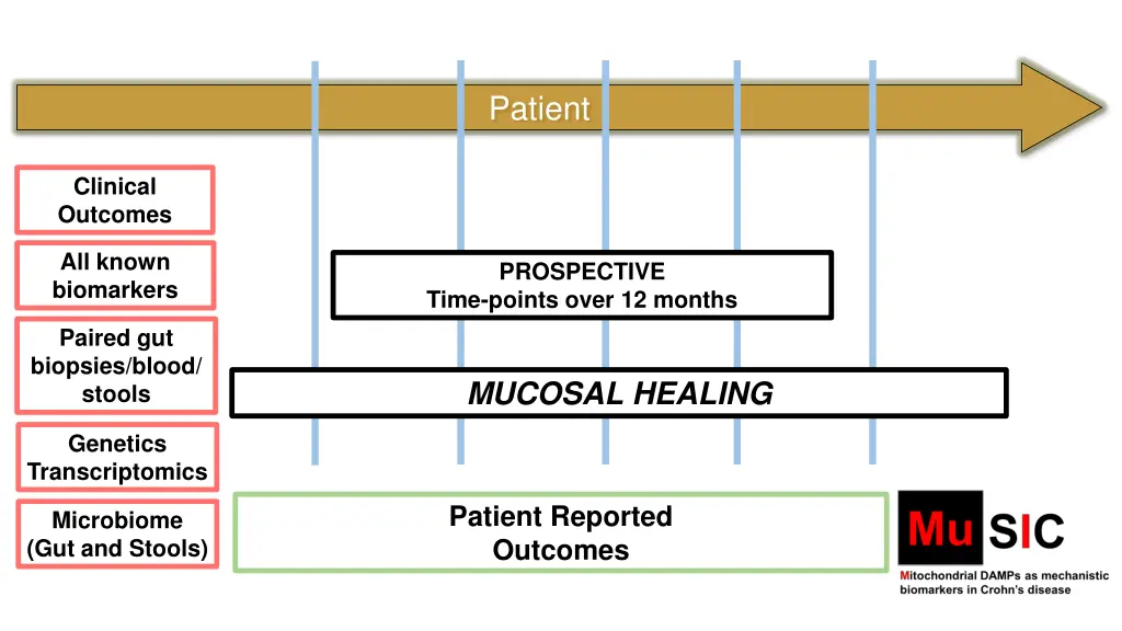 patient