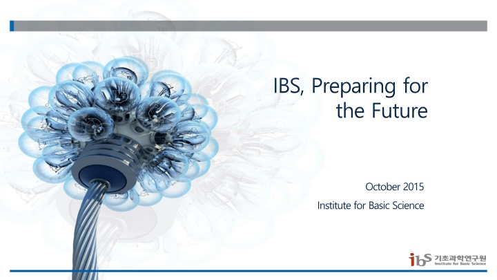 ibs preparing for the future