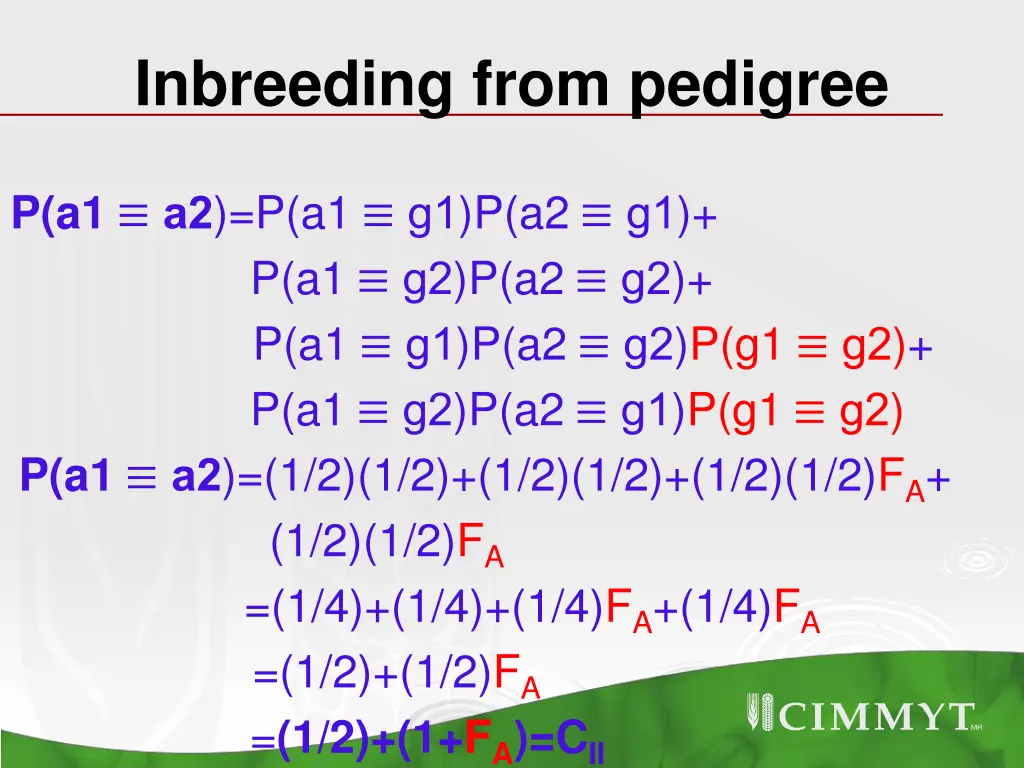 inbreeding from pedigree 2