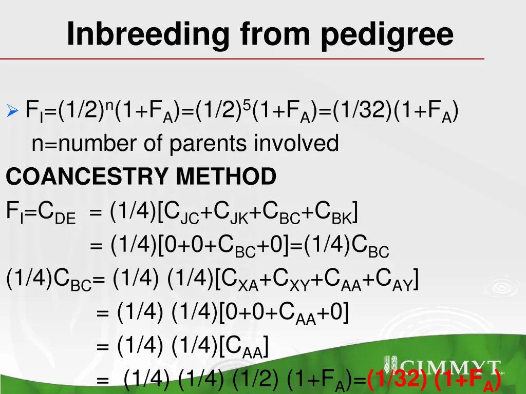 inbreeding from pedigree 3