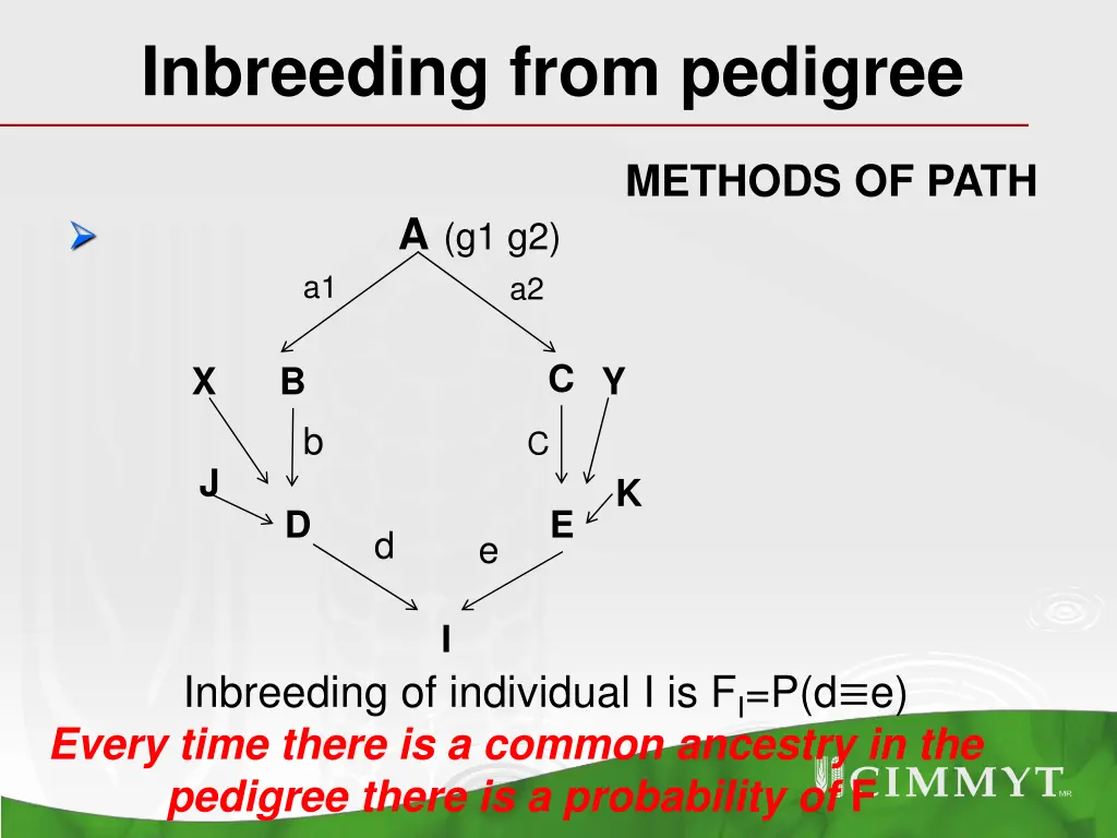 inbreeding from pedigree