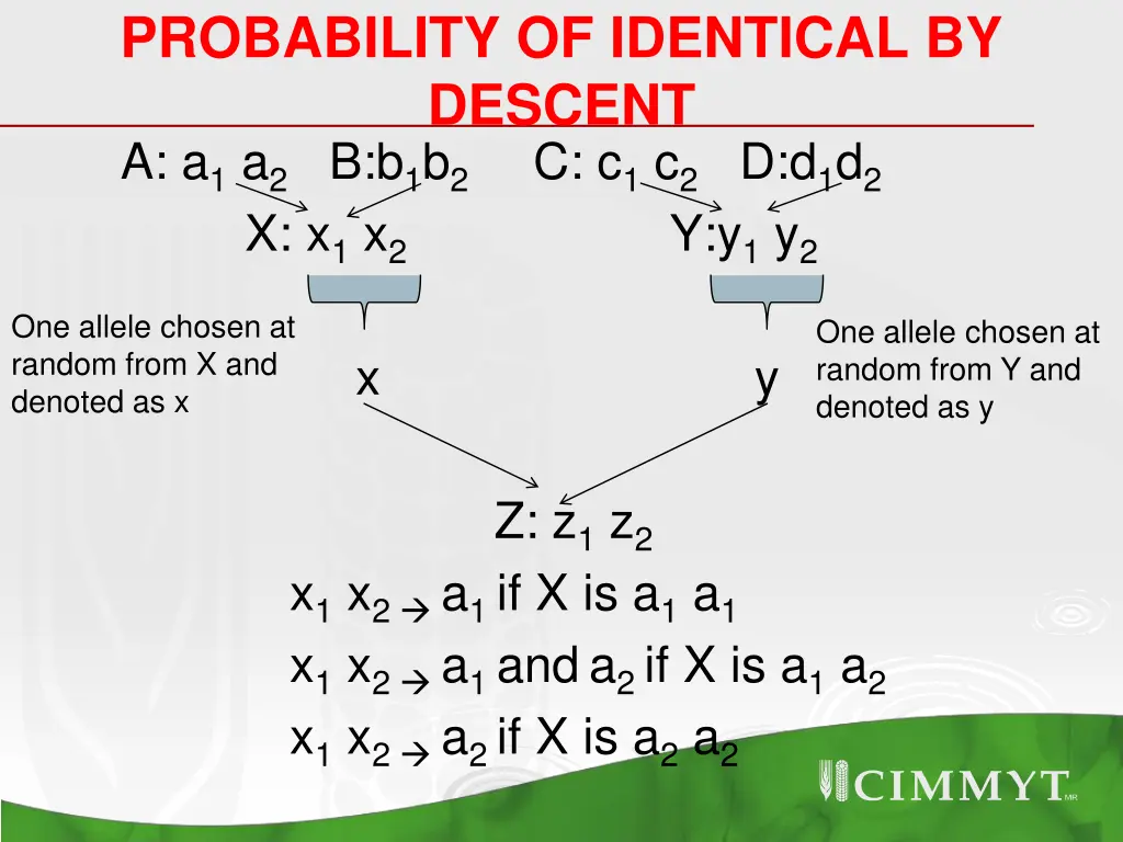 probability of identical by descent