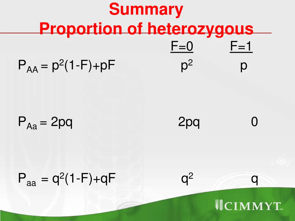 summary 1