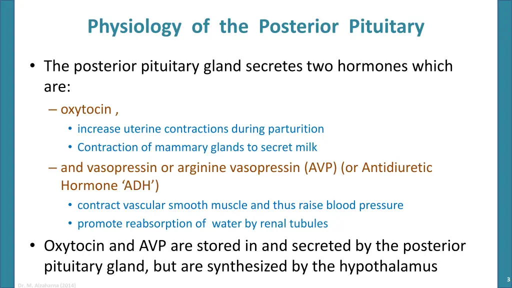 physiology of the posterior pituitary