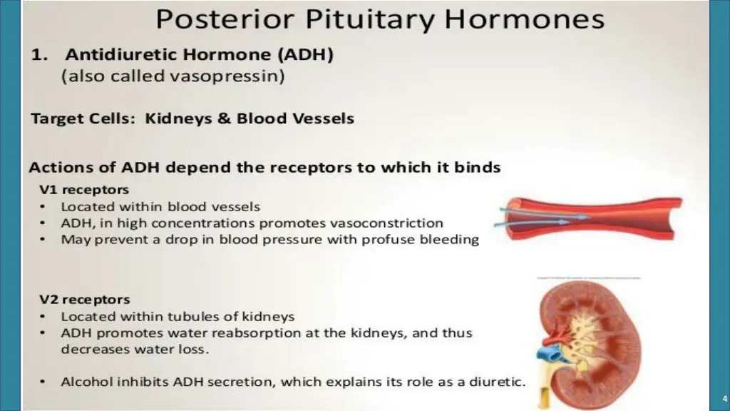 slide4