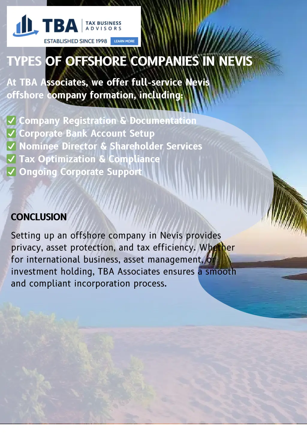 types of offshore companies in nevis 1