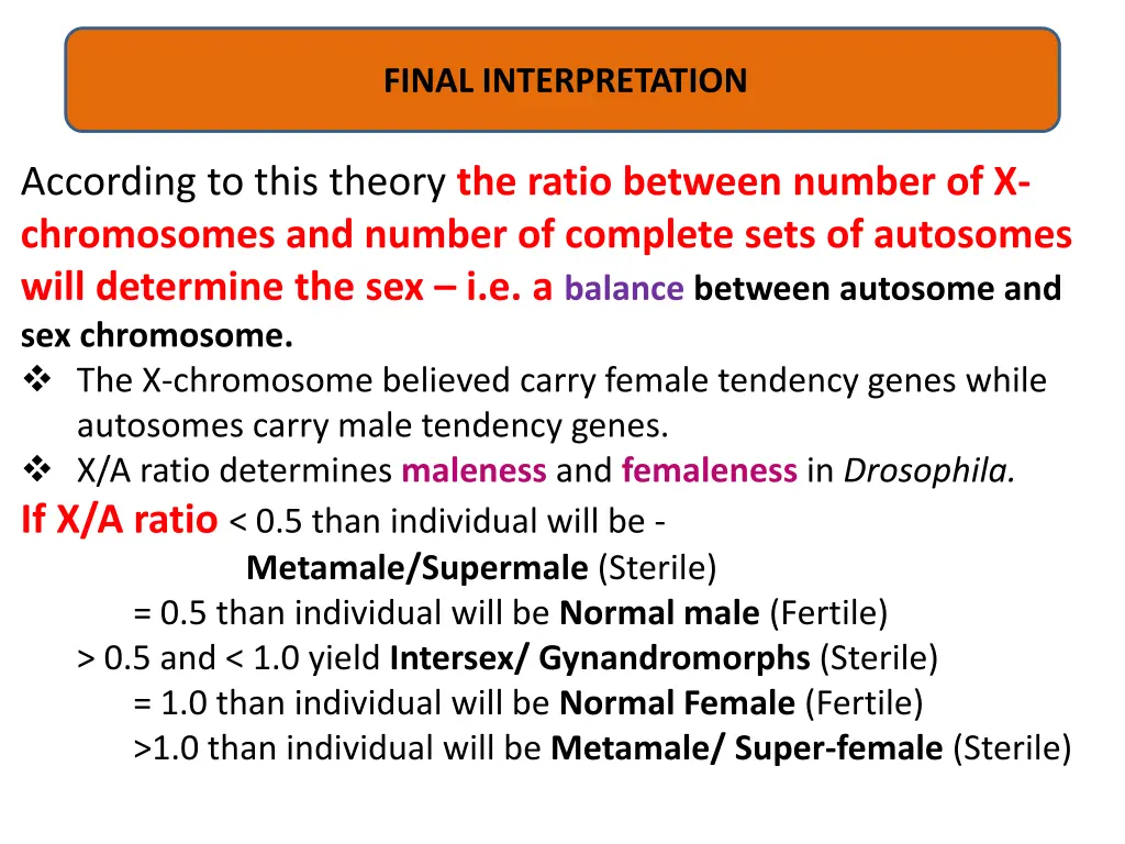 final interpretation
