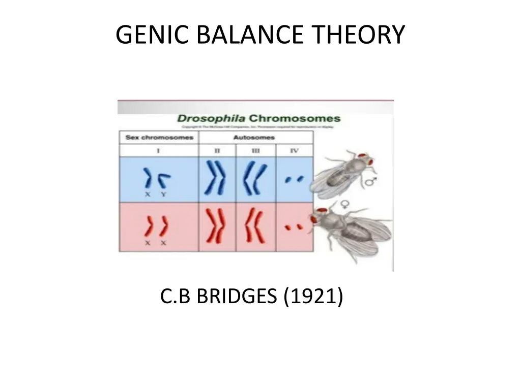 genic balance theory
