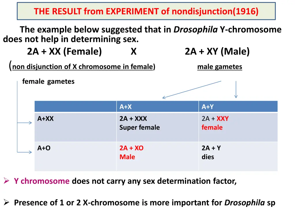 the result from experiment of nondisjunction 1916