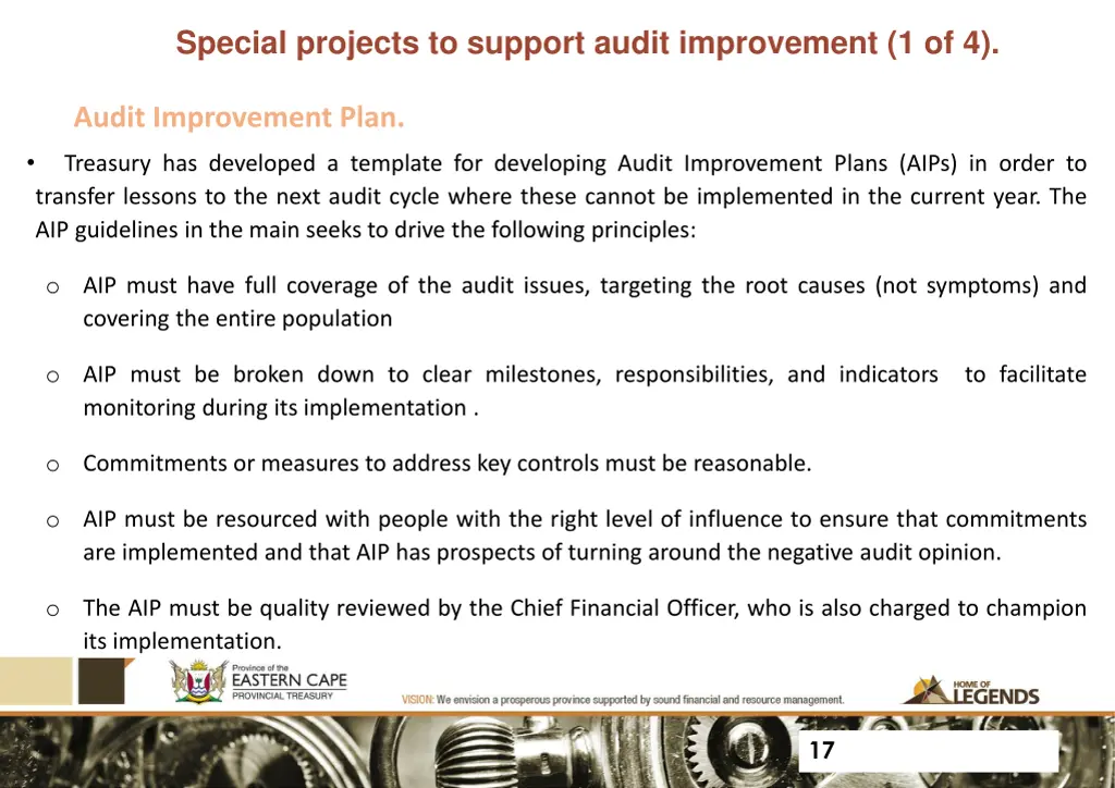 special projects to support audit improvement