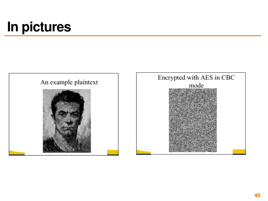 in pictures 1