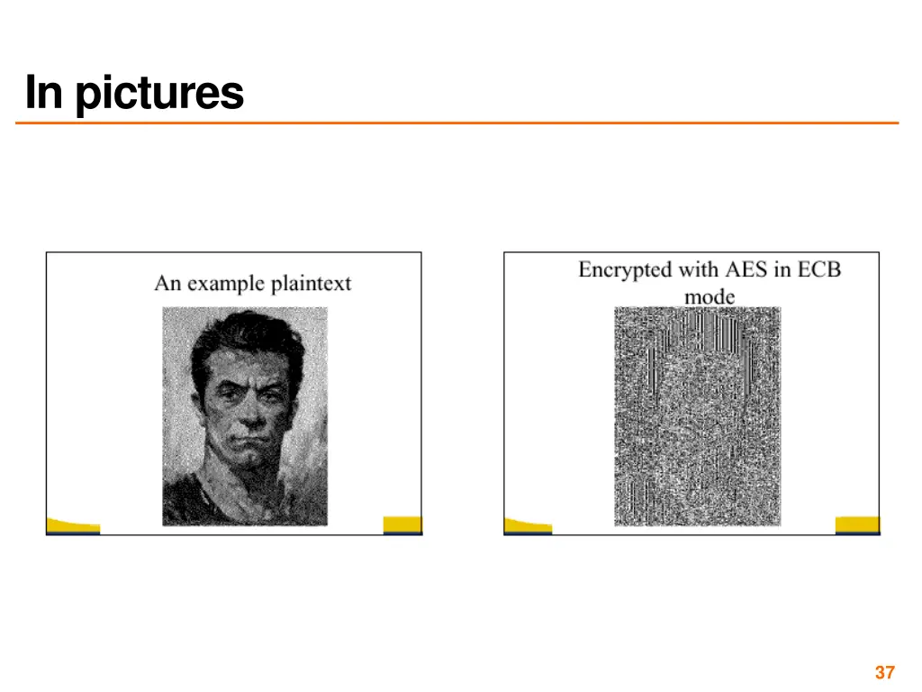 in pictures