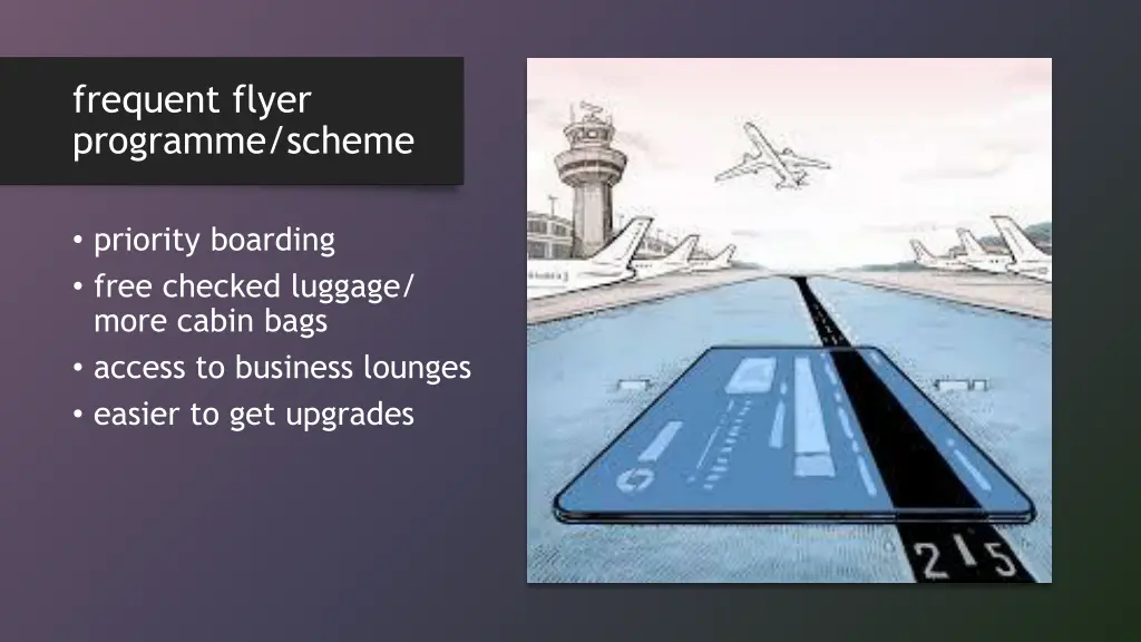 frequent flyer programme scheme 1
