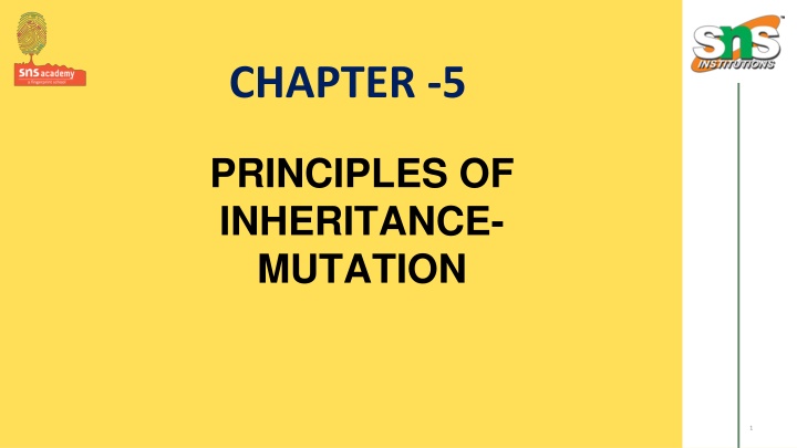 chapter 5