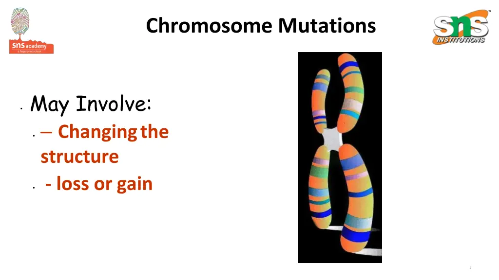 chromosome mutations