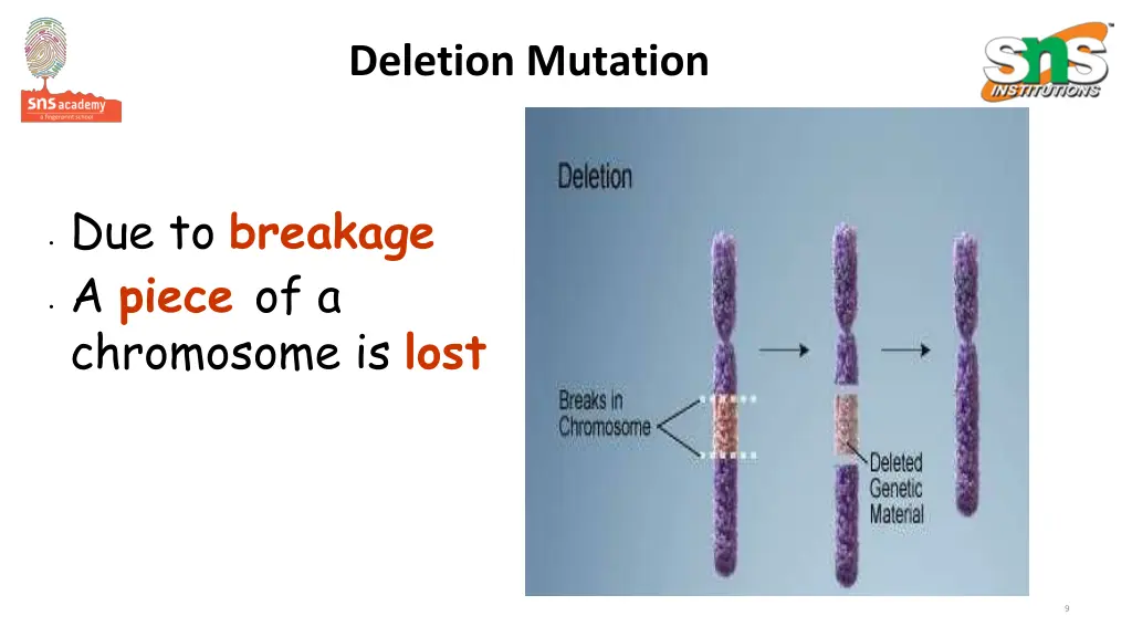 deletion mutation