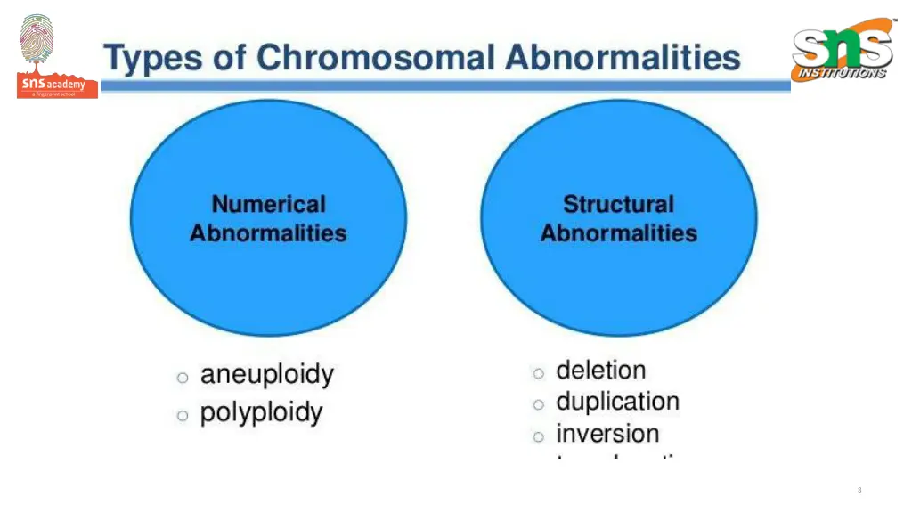 slide8