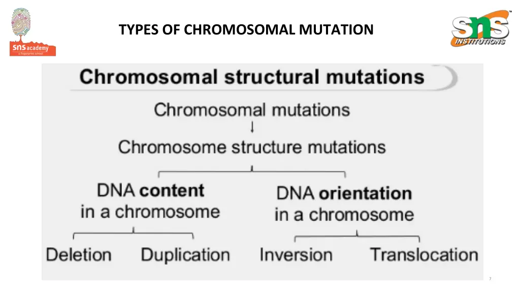 types of chromosomal mutation