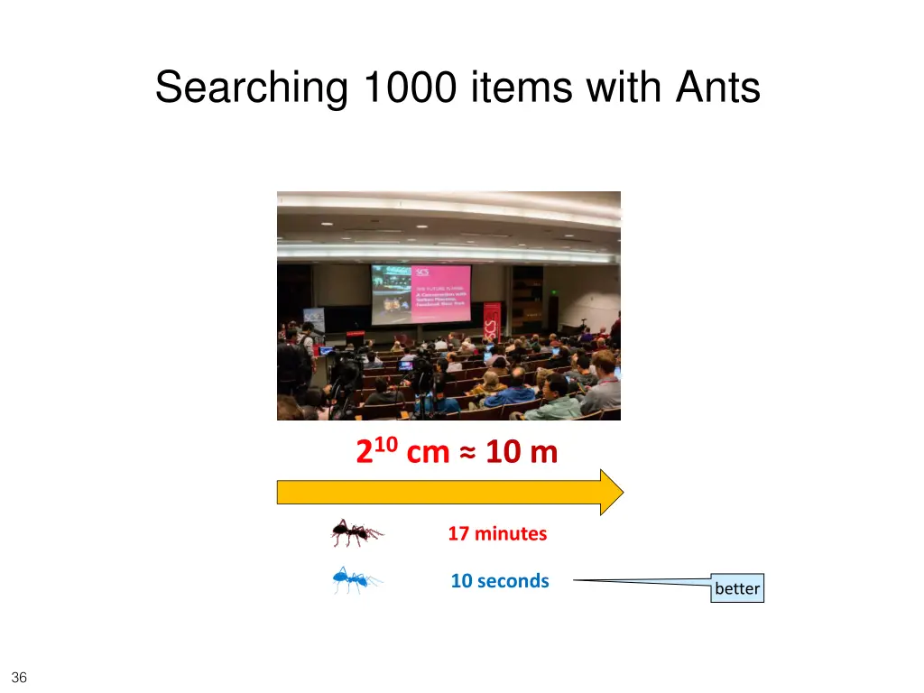 searching 1000 items with ants