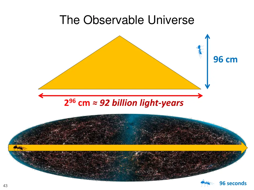 the observable universe
