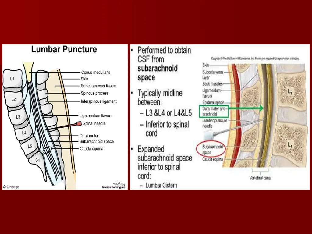 slide8