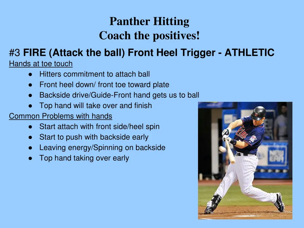 panther hitting coach the positives 4
