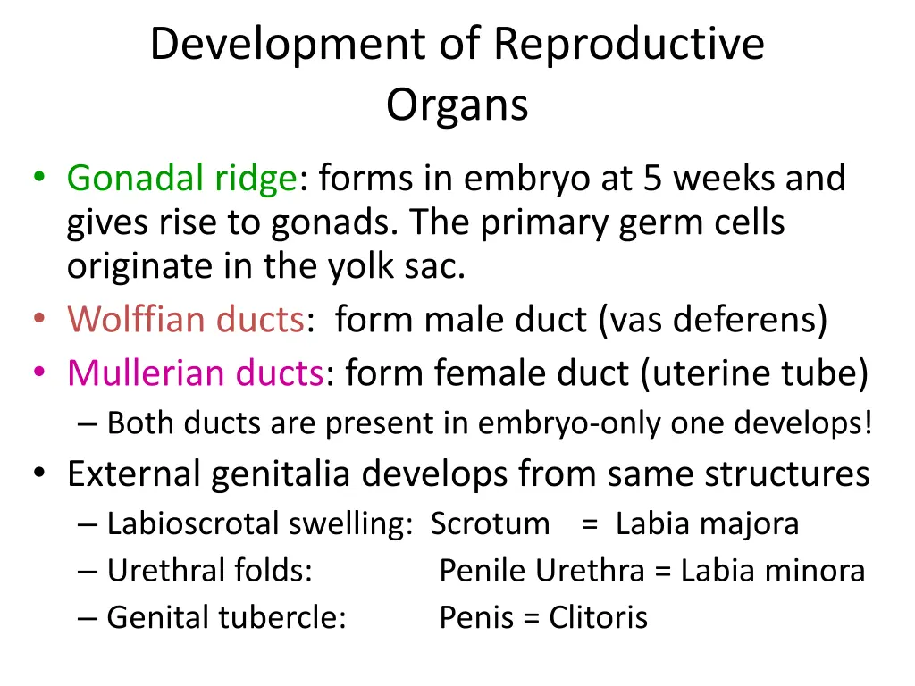 development of reproductive organs