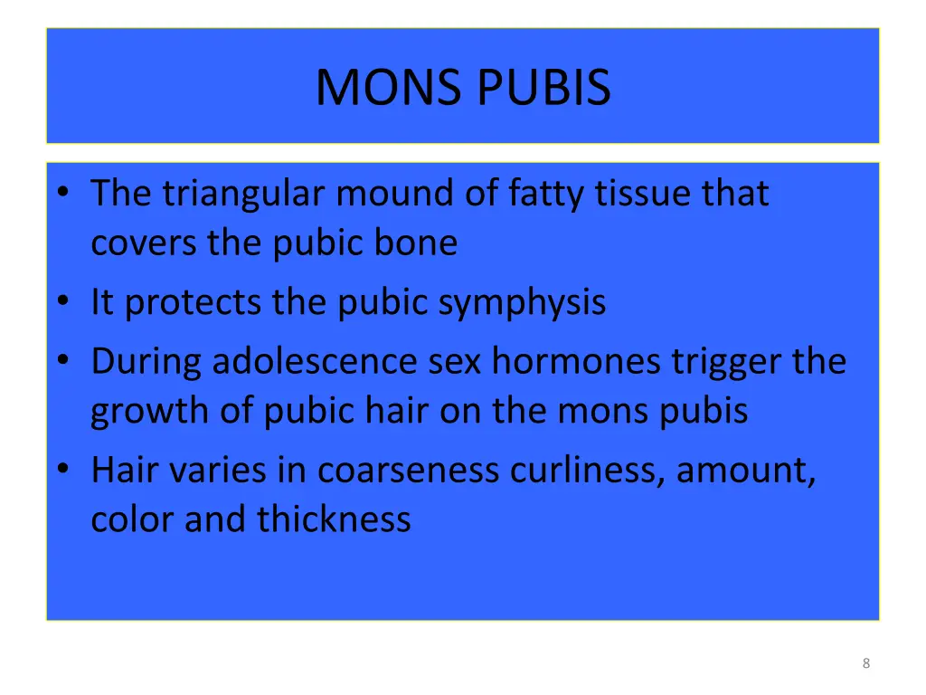 mons pubis