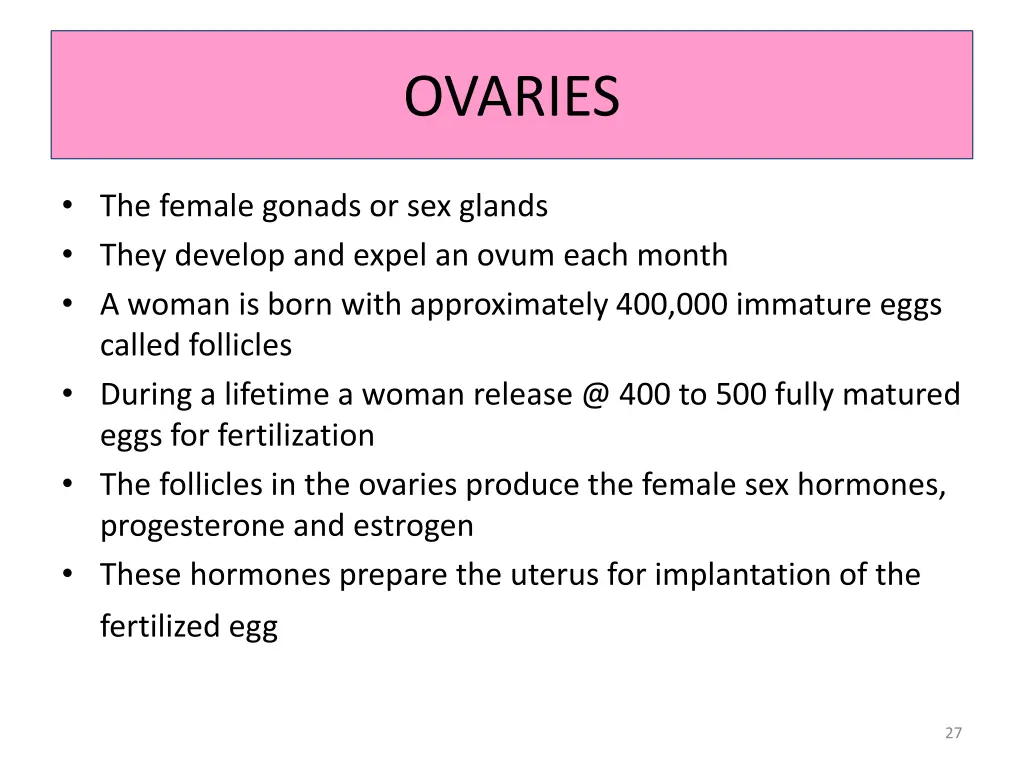 ovaries