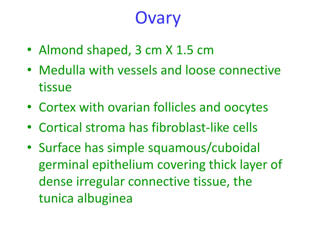 ovary