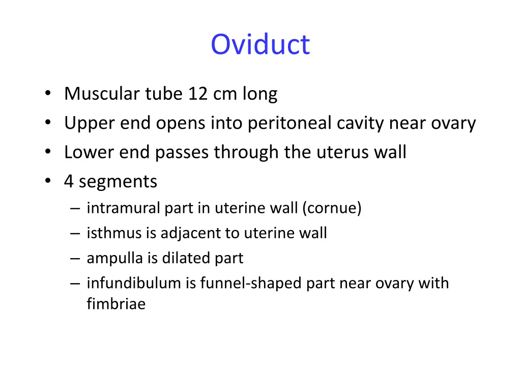 oviduct