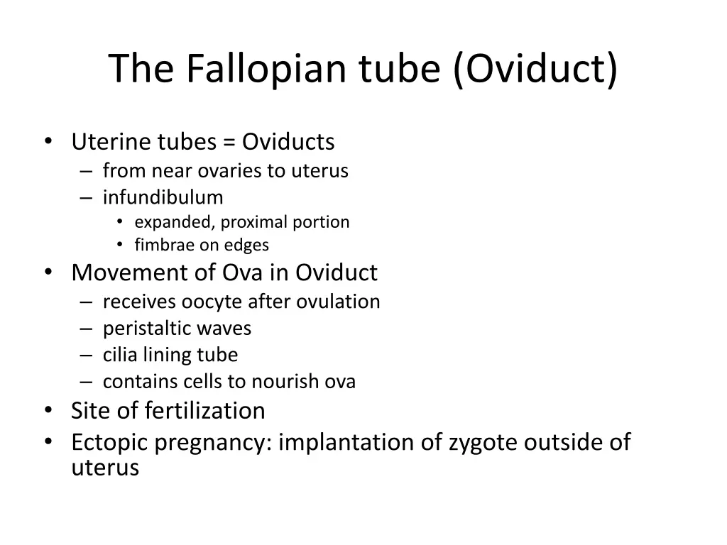 the fallopian tube oviduct