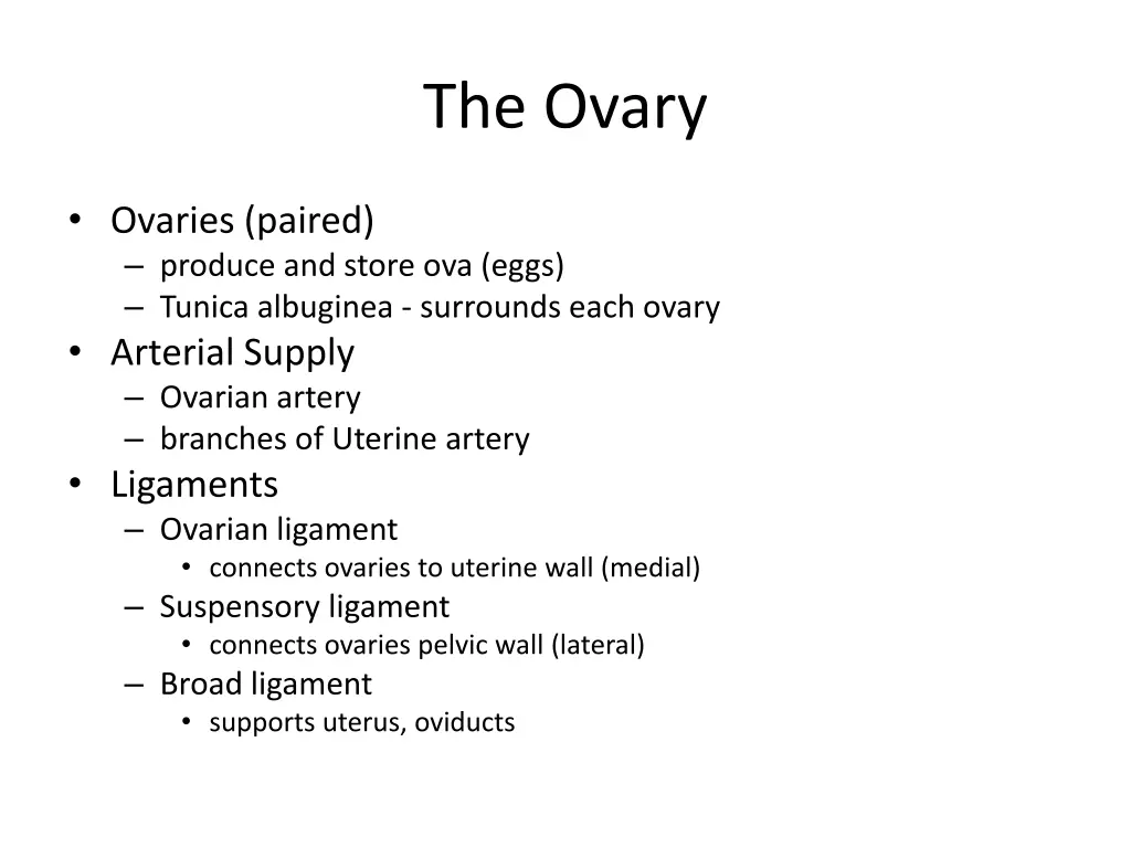 the ovary