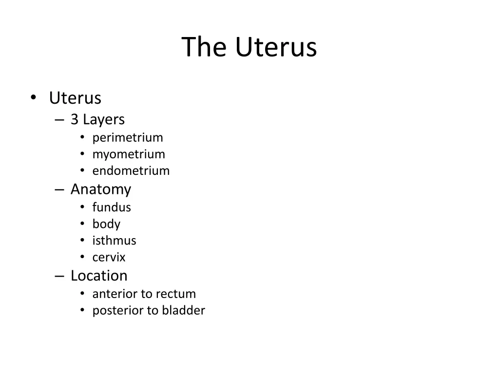 the uterus