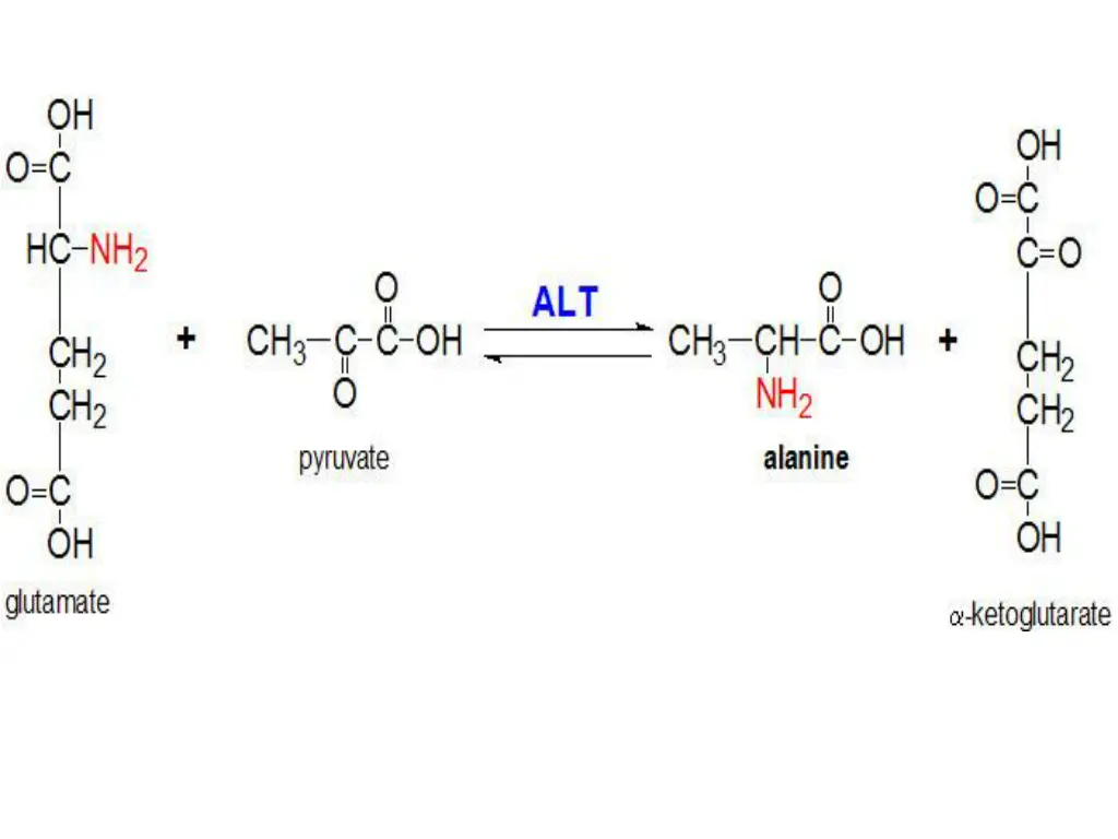 slide8