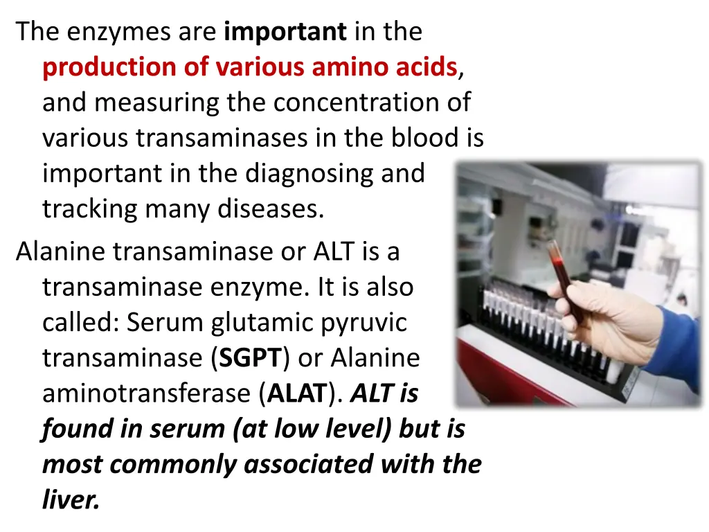the enzymes are important in the production