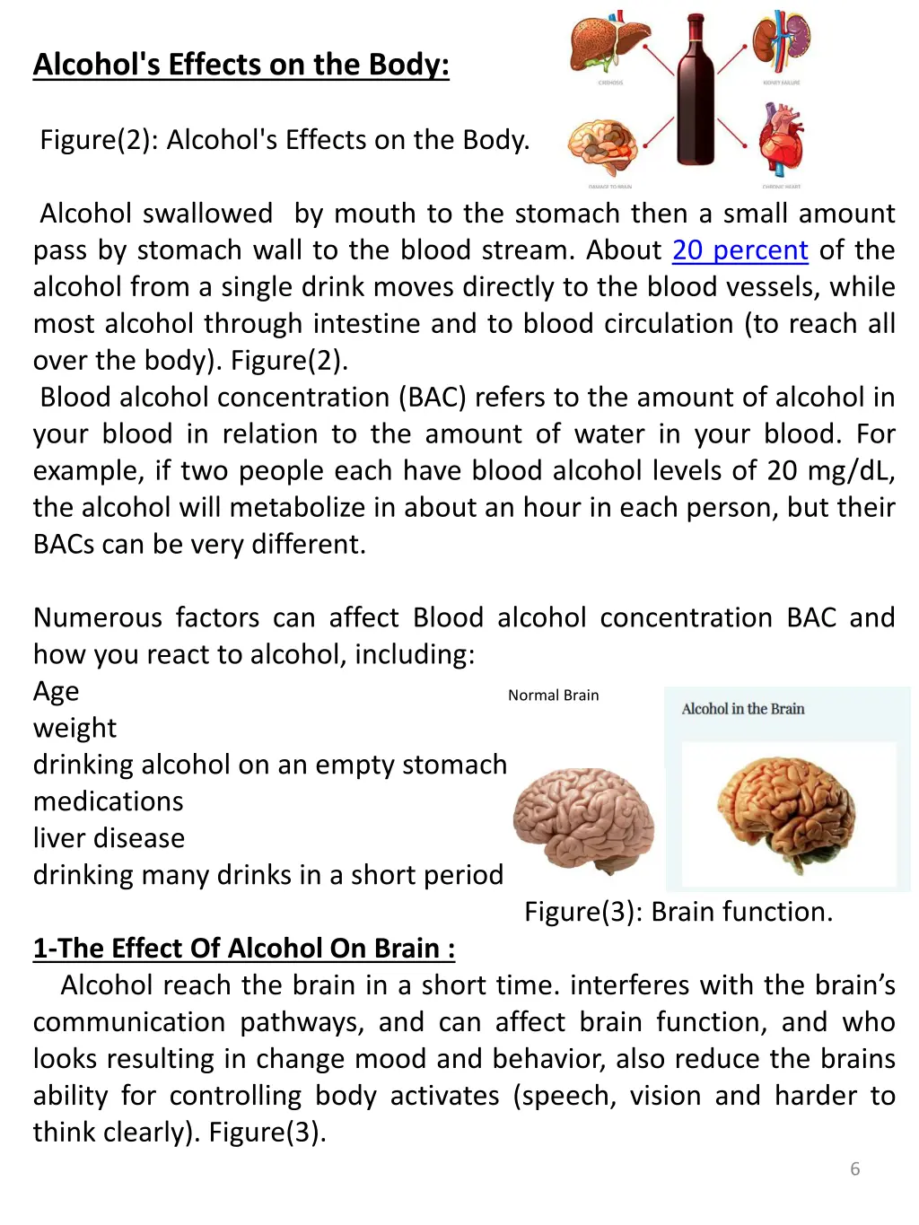 alcohol s effects on the body