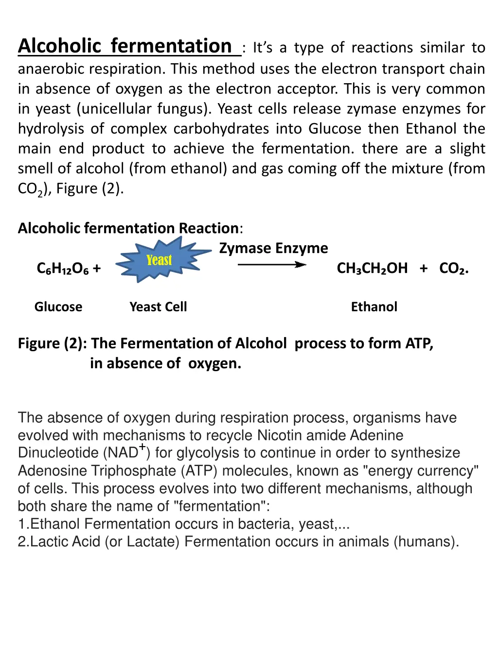alcoholic fermentation it s a type of reactions